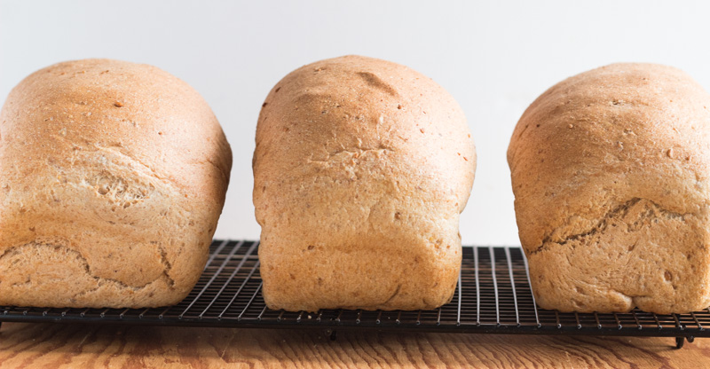 Perfect Spelt Bread {Whole-Grain} | The Cook's Treat